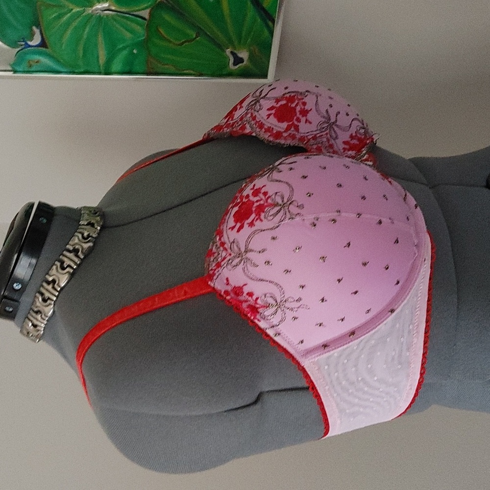 Victoria's Secret Pink and Red Embroidered Bra 38D - Picture 5 of 5
